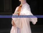 Ancient Charm of Hanfu Long-Sleeve Gowns:A Journey into Traditional Chinese Elegance