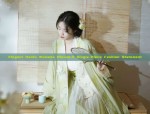 Elegant Hanfu Womens Blouse:A Single-Piece Fashion Statement