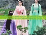 Summer Hanfu Fashion:A Complete Guide to the Chest-Embracing Hanfu Costume