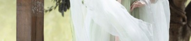 The Splendor of Hanfu Fashion:Exploring the Yan Xin Ji Style