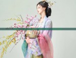 Embracing Traditional Elegance:Plus-Size Adult Women in Hanfu Fashion