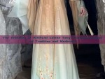 Summer Elegance of Song-Style Hanfu for Young Girls