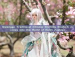 Qimengge Traditional Chinese Clothing Studio:A Journey into the World of Hanfu Fashion