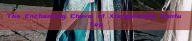 The Enchanting Charm of Xiangyunsha Hanfu Top