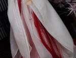 Beauty in a Scroll:The Splendor of Hanfu,Traditional Chinese Fashion in an Artistic Perspective
