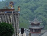 The Rise of Hanfu One-Piece Pleated Skirts:A Journey into Traditional Elegance