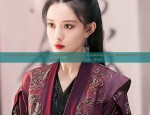 A Complete Guide to Traditional Hanfu Headwear for Women:The Splendid Red Zhaozhaos Wish