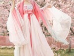 Bamboo Living in Serene Splendor:The Enchanting Tale of Blue Flower Shen Hanfu
