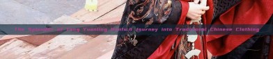 The Splendor of Tang Yuanling Hanfu:A Journey into Traditional Chinese Clothing