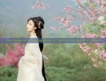 Summer Cheongsam Dress:The Allure of the Mid-Length Qipao