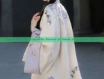 Chinese Traditional Childrens Hanfu Fashion:A Glimpse into Ancient Charm