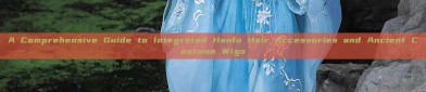 A Comprehensive Guide to Integrated Hanfu Hair Accessories and Ancient Costume Wigs