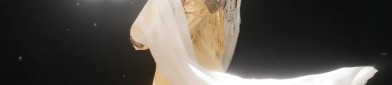 Luxury Cheongsam:A Glamor of Traditional Elegance