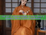 The Enchantment of Black Cheongsam Dancewear in Classical Dance