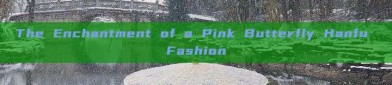 The Enchantment of a Pink Butterfly Hanfu Fashion