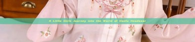 A Little Girls Journey into the World of Hanfu Headwear