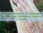 The Enchantment of Cheongsam and Plum Blossom:A Cultural Fusion