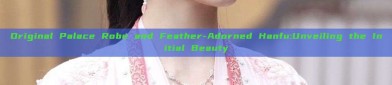 Original Palace Robe and Feather-Adorned Hanfu:Unveiling the Initial Beauty