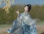 The Elegance of Green Cheongsam:A Closer Look at Grass Green Beauty