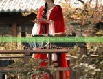 Authentic Hanfu Costume with Bok Choy Theme:A Complete Set