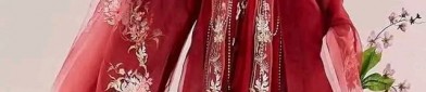 Elegant Chinese Heritage:The Rise of Hanfu Womens Traditional上衣