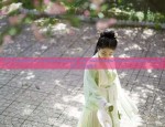The Splendor of Glass:Exploring the Same-Style Hanfu Fashion as Ruyi Fangfei