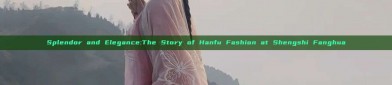 Splendor and Elegance:The Story of Hanfu Fashion at Shengshi Fanghua