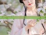 Classic High Ponytail Hair Accessories in Ancient Costume