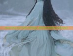 Nine-tailed Fox Hanfu Authentic Shoes:A Detailed Exploration