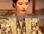 Daily Styles of Hanfu Hair Accessories:A Journey into Traditional Elegance