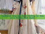 Traditional Tang and Hanfu Clothing for Women in Summer:Adult Styles