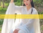 The Evolution of Ear Clips in Hanfu Fashion:A Closer Look