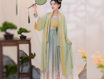 Elegant Hanfu Womens Blouse:A Single-Piece Fashion Statement