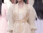 Exploring the Rise of Commuter-Friendly Light Hanfu Coats with Chinese Elements