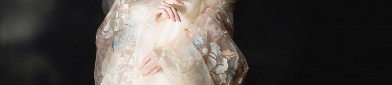 The Aristocratic Charm of Cheongsam The Elegance of Traditional Chinese Clothing