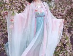 Plus Size New Chinese Style Horseface Skirt Ensemble
