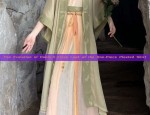 The Elegance of Long-Style Golden Silk Qipao