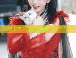 Dream Tang Chronicles:Original Large-Size Hanfu Fashion