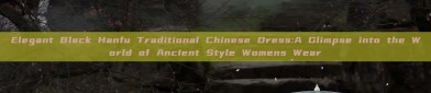 Elegant Black Hanfu Traditional Chinese Dress:A Glimpse into the World of Ancient Style Womens Wear