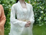 Wang Zhaojuns Splendid Beauty in the Flowing Robes of the Phoenix