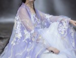 Traditional Tang-Style Womens Chinese Silk Attire:A Blend of Elegance and Heritage