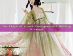 Winter Girls Hanfu Skirt Fashion:A Guide to Styling Your Little One