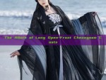 Childrens Hanfu Hand Warmers:A Journey into Traditional Chinese Clothing