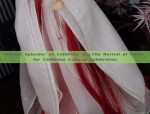 Ancient Splendor on Childrens Day:The Revival of Hanfu for Childrens Cultural Celebration