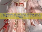 The Splendor of Yao Ethnic Clothing and the Elegance of Shangguan Wane in Hanfu Fashion