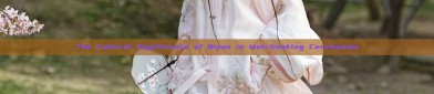 The Cultural Significance of Qipao in Matchmaking Ceremonies
