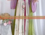 Revisiting the Splendor of Dreams in Original Hanfu Fashion