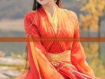 Rental Services for Ming-Style Hanfu Wedding Gowns:A Traditional Elegance for Modern Couples