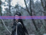 Phoenix-like Splendor at a Turnip Price:The Rise of Affordable Hanfu Fashion