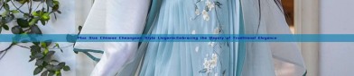 Plus Size Chinese Cheongsam Style Lingerie:Embracing the Beauty of Traditional Elegance